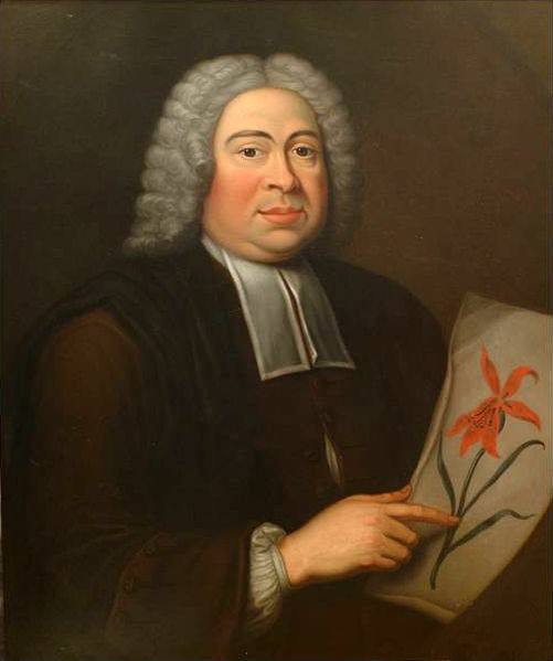 Dillenius johann jacob