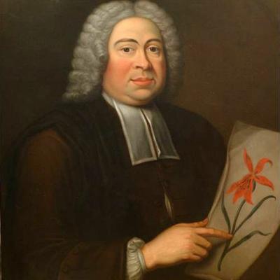 Dillenius johann jacob