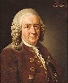 Linné Carl Von