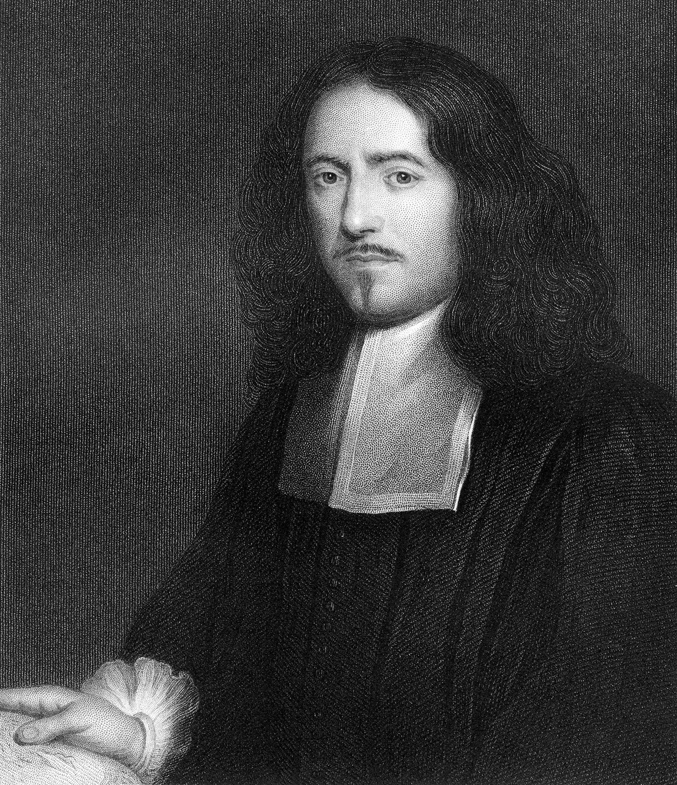 Malpighi marcello