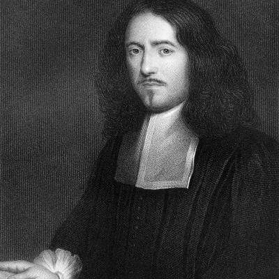 Malpighi marcello