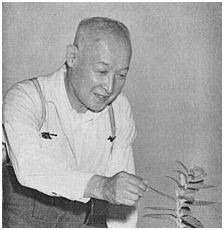 Nakai takenoshin