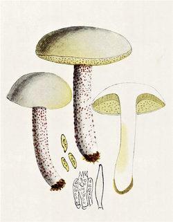 10588