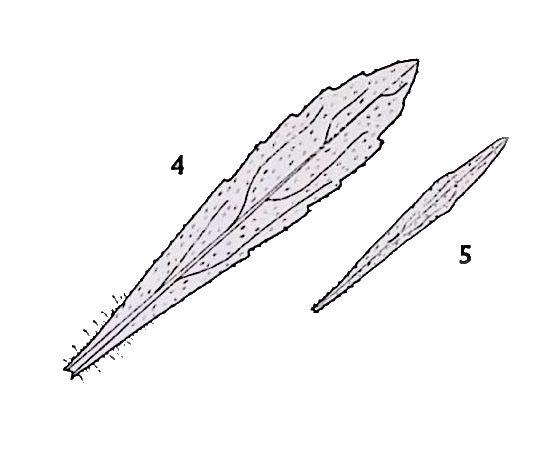 16659