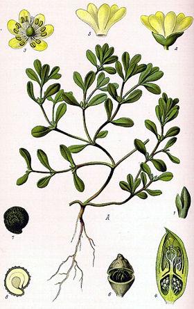 16702
