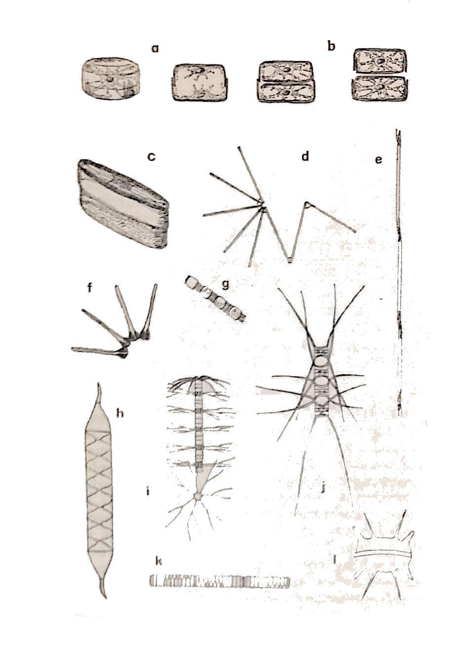 16934