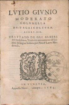 16993
