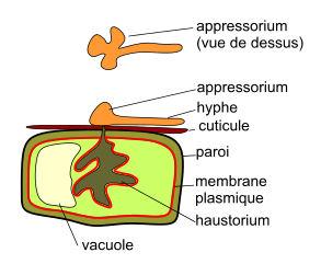 6513