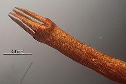 9034