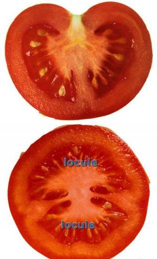9108