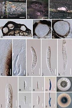 9121