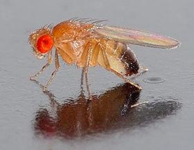 9165