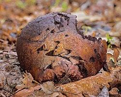 9381