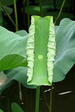 9558