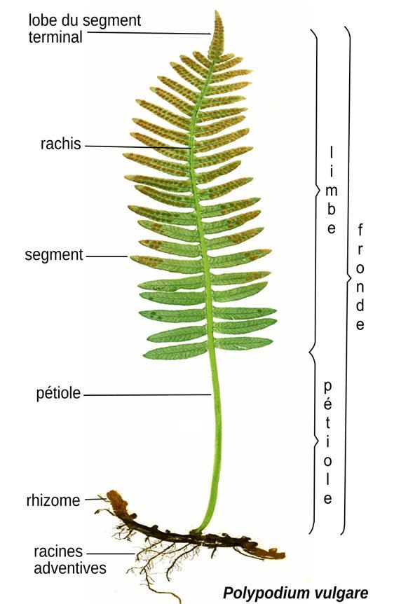 9804