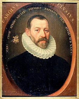 Charles de l ecluse carolus clusius 1526 1609