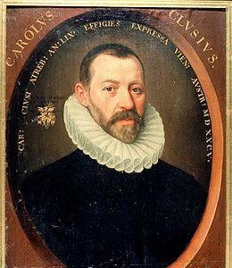 Charles de l ecluse carolus clusius 1526 1609