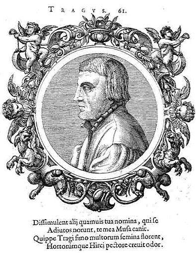 Hieronymus bock